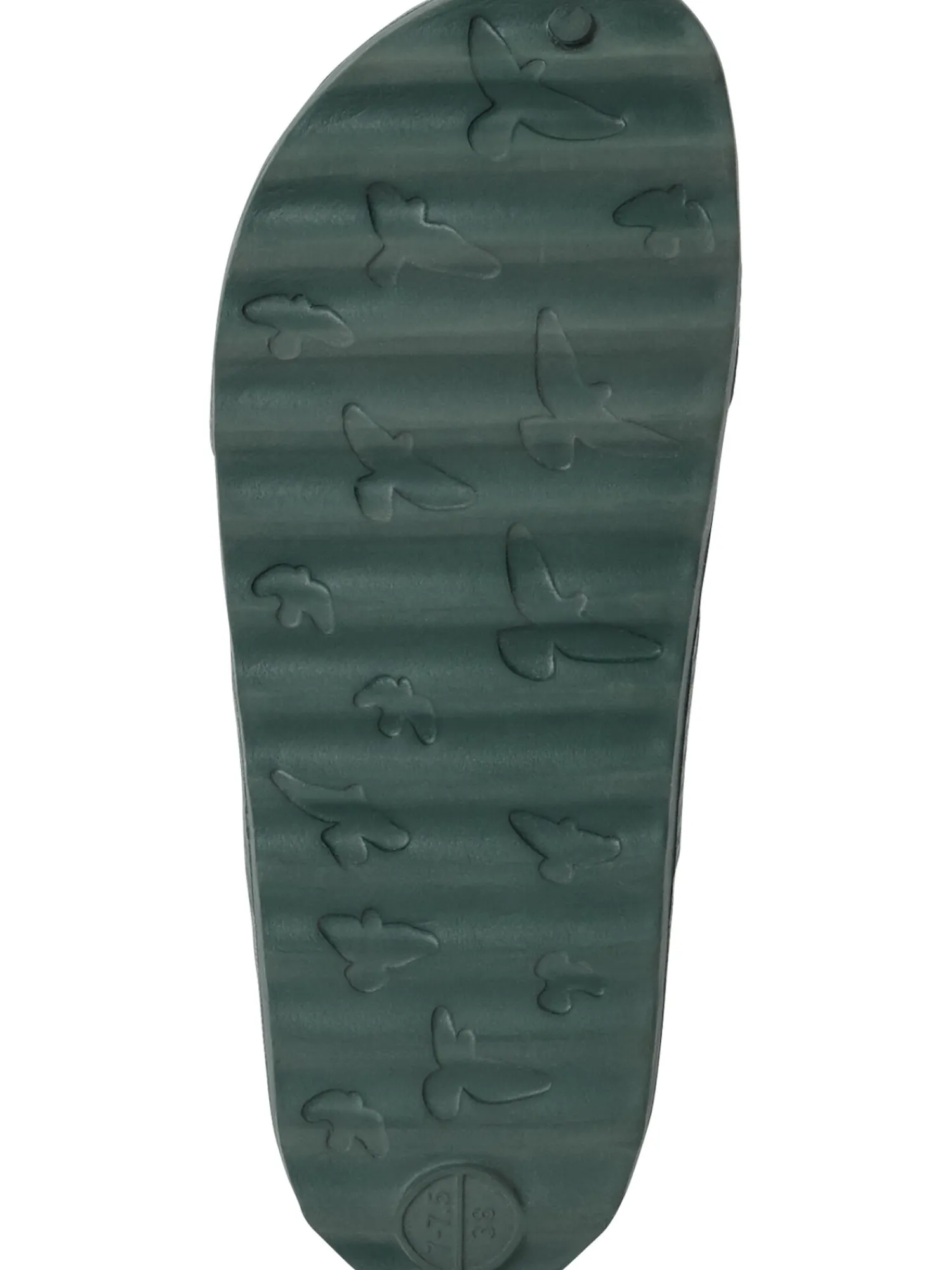 Women Title Nine Shoes>Re-Coop Sport Sandal